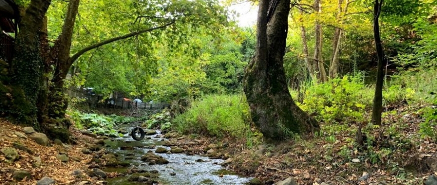 CEVİZLİBAHÇE KAMP VE DOĞA YÜRÜYÜŞÜ