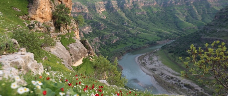 ŞIRNAK- CEHENNEM DERESİ-TANİN DAĞLARI DOĞA YÜRÜYÜŞLERİ