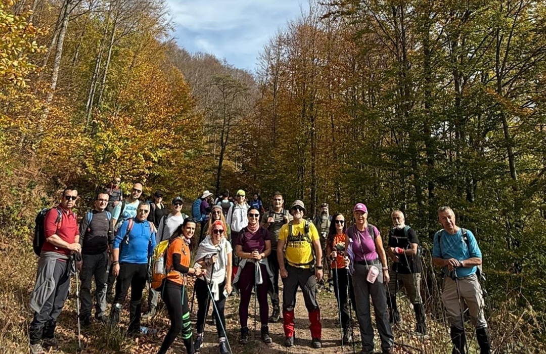 OSMANİYE VE  MECİDİYE KÖYLERİ AYVAŞA ORMANLARI DOĞA YÜRÜYÜŞÜ