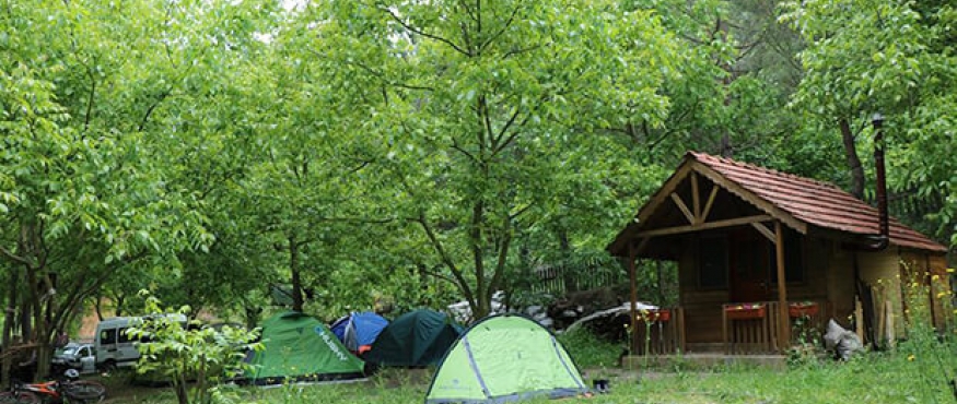 CEVİZLİBAHÇE KAMP VE DOĞA YÜRÜYÜŞÜ