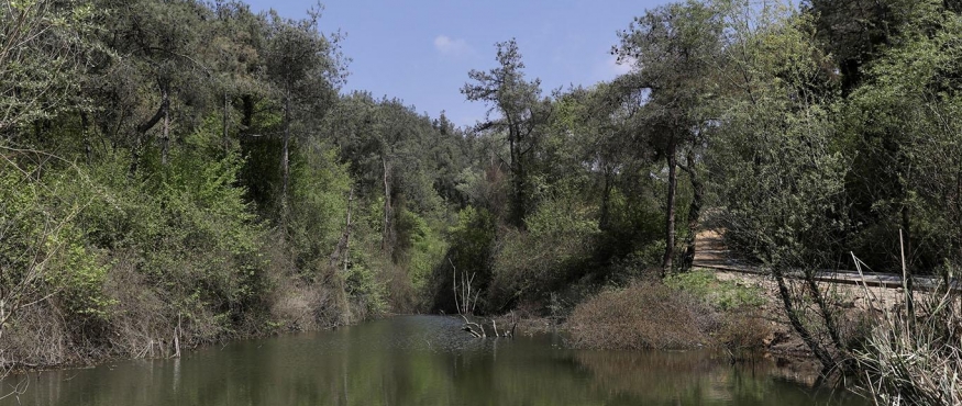 HACIOSMAN DOĞA YÜRÜYÜŞÜ