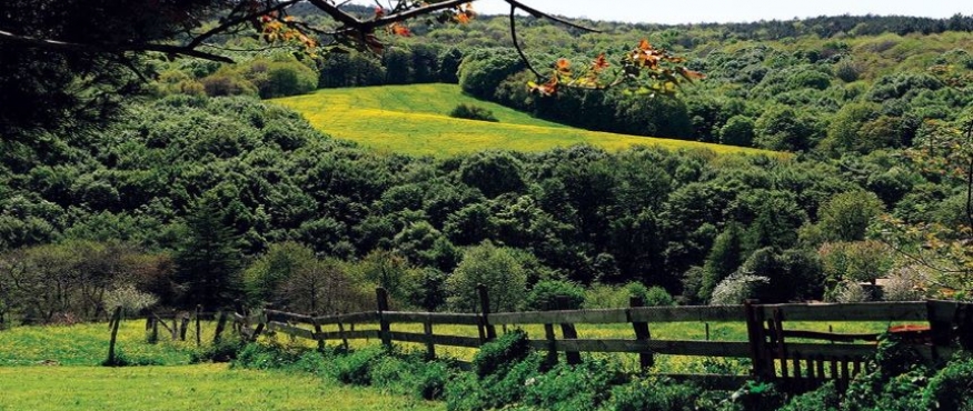 POLONEZKÖY DOĞA YÜRÜYÜŞÜ 
