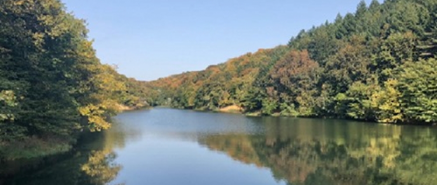 BAHÇEKÖY-İÜ ORMANI-BENTLER DOĞA YÜRÜYÜŞÜ