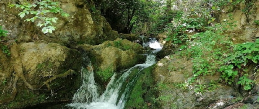 KOCAELİ KENT ORMANI UMUTTEPE-ÇINARLIDERESİ VE ŞELALE-MERSİNCİK DOĞA YÜRÜYÜŞÜ