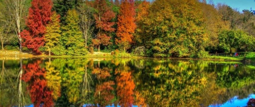 BAHÇEKÖY-ATATÜRK ARBORETUMU-BAHÇEKÖY RİNG DOĞA YÜRÜYÜŞÜ