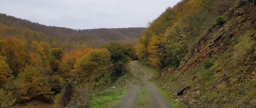 TEKEKÖY-SAKLIKOY SAHİL DOĞA YÜRÜYÜŞÜ