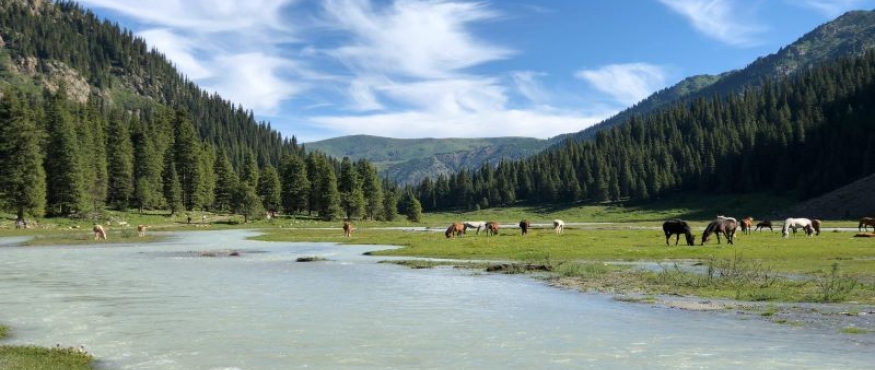 ORTA ASYA'NIN MUHTEŞEM DOĞASINA YOLCULUK, KIRGIZİSTAN