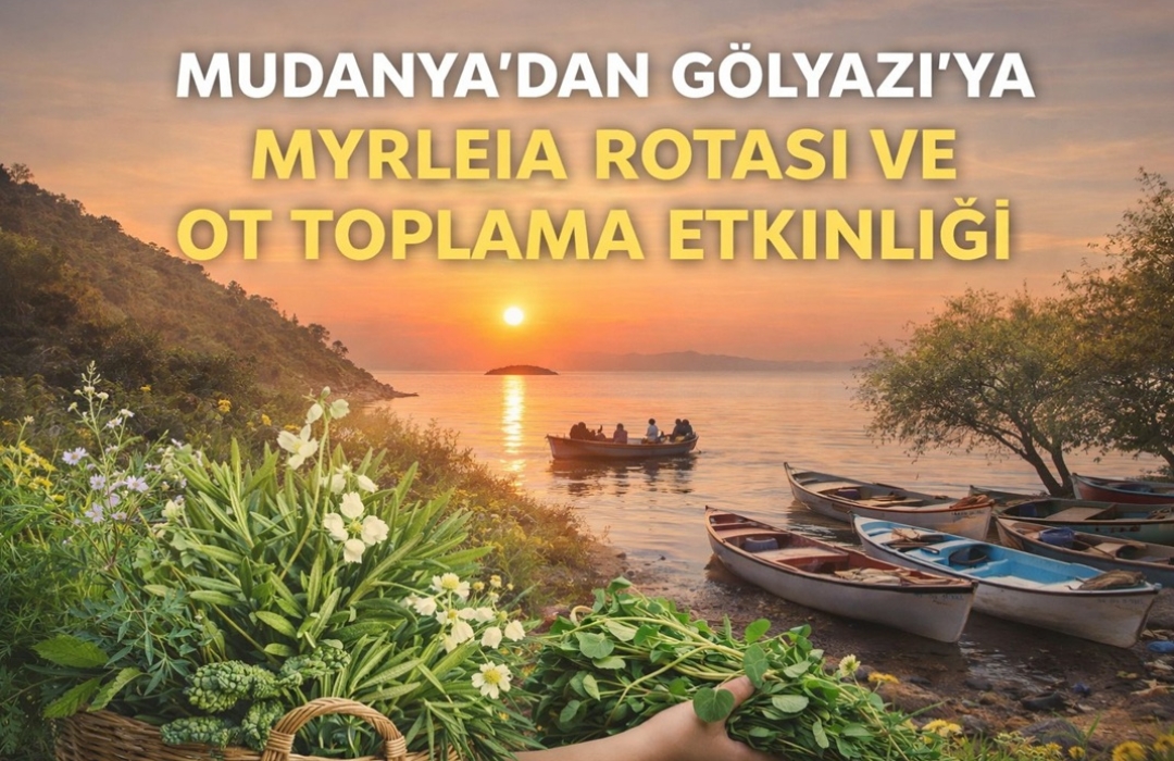 MUDANYA’DAN GÖLYAZI’YA MYRLEİA ROTASI DOĞA YÜRÜYÜŞÜ VE OT TOPLAMA ETKİNLİĞİ 