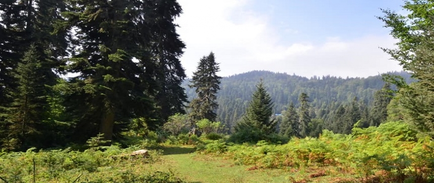 ÇİĞDEM YAYLASI KAMP VE DOĞA YÜRÜYÜŞÜ