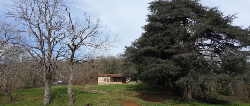 BAHÇEKÖY-BELGRAD ORMANI-KİRAZLIBEND DOĞA YÜRÜYÜŞÜ