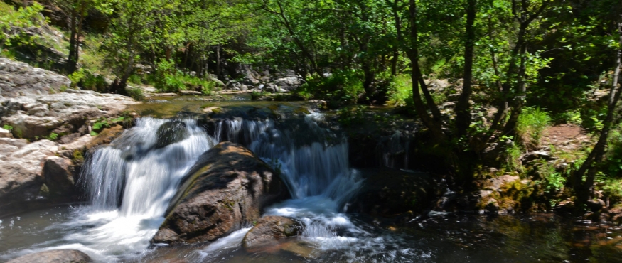 TACİR KANYONU-KARADERE DERE VE DOĞA YÜRÜYÜŞÜ