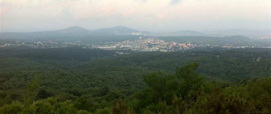 TAŞDELEN-ALEMDAĞ ORMANLARI DOĞA YÜRÜYÜŞÜ