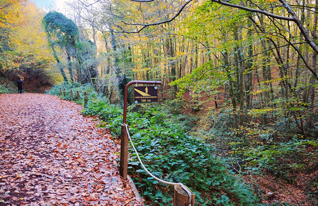 POLONEZKÖY (RİNG) DOĞA YÜRÜYÜŞÜ 