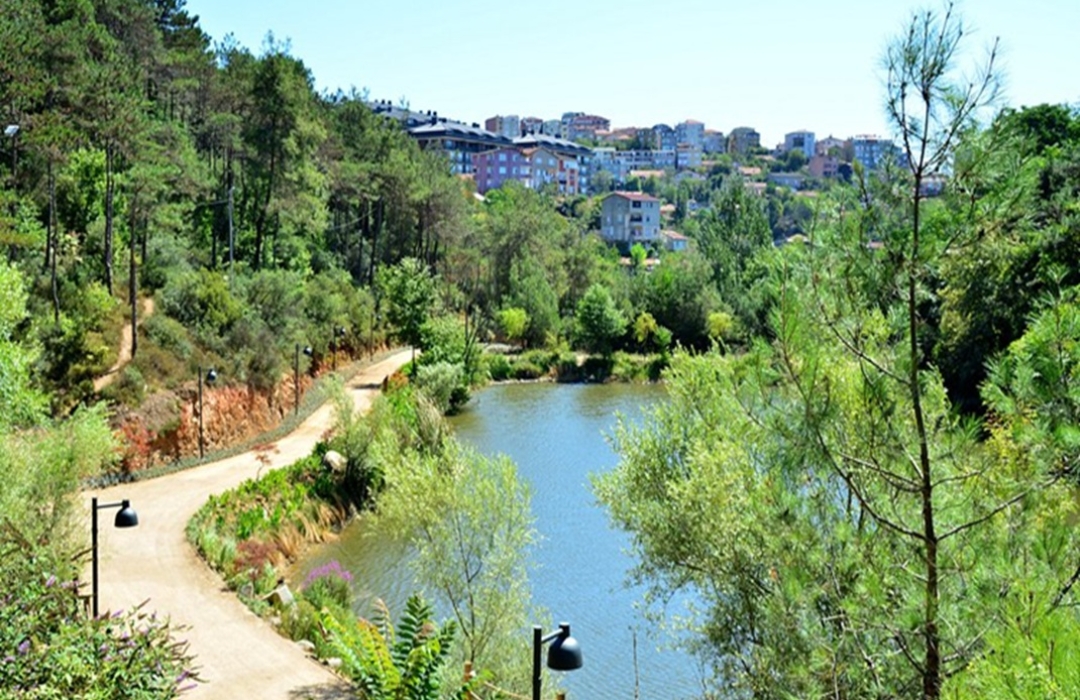 FLORYA KENT ORMANI- YEŞİLYURT GECE YÜRÜYÜŞÜ