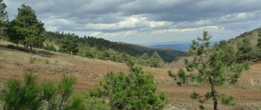 MELEKŞEORUÇ-NURUOSMANİYE KAR YÜRÜYÜŞÜ