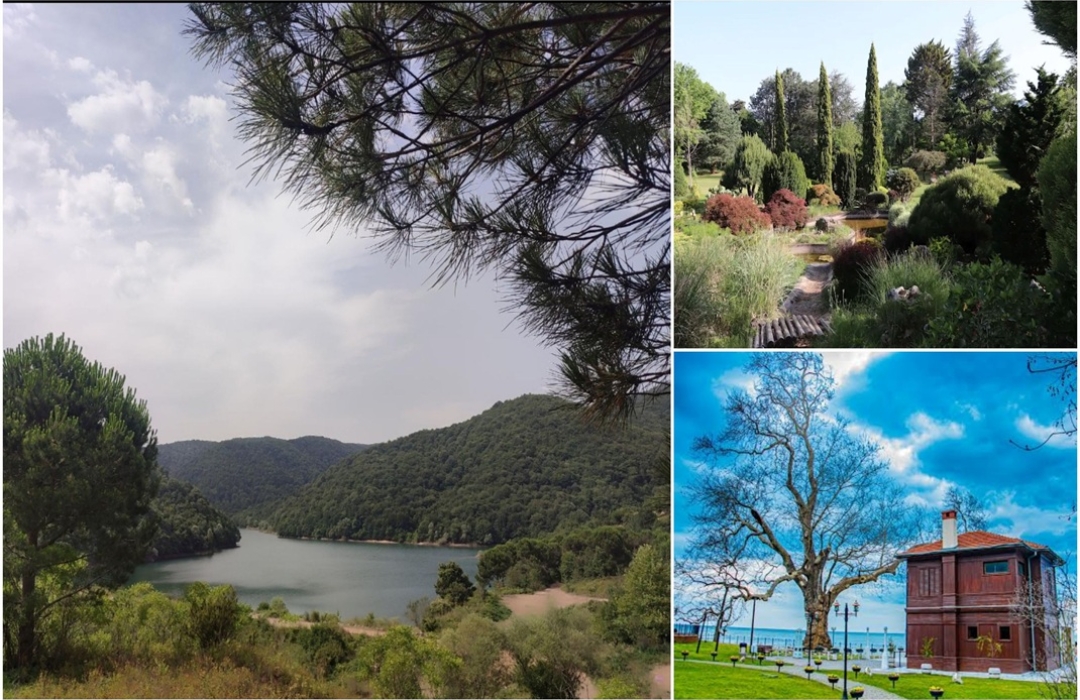 GÜLLÜK KÖYÜ-ORTABURUN GÖLETİ-ORTABURUN DOĞA YÜRÜYÜŞÜ (KARACA CANLI AĞAÇ MÜZESİ VE YÜRÜYEN KÖŞK GEZİLERİ)