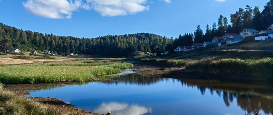 DİKMEN-YENİ YAYLA DOĞA YÜRÜYÜŞÜ