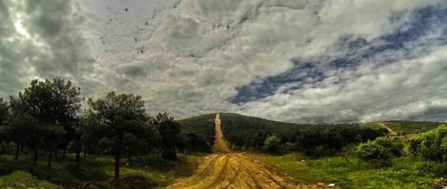 TAŞDELEN-ALEMDAĞ ORMANLARI DOĞA YÜRÜYÜŞÜ