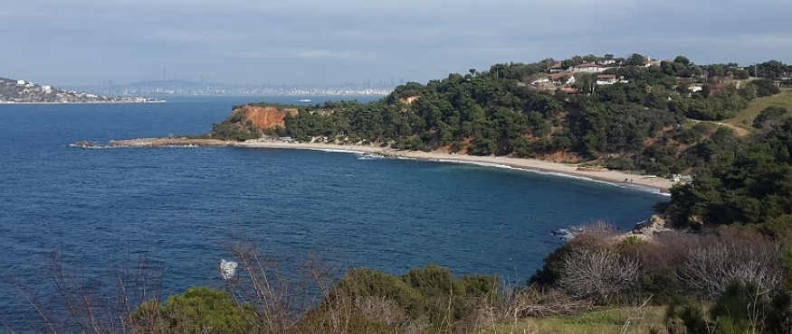 BURGAZADA DOĞA YÜRÜYÜŞÜ