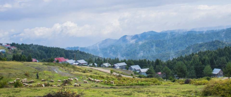 KARAGÖL YAYLASI KAMP VE DOĞA YÜRÜYÜŞÜ