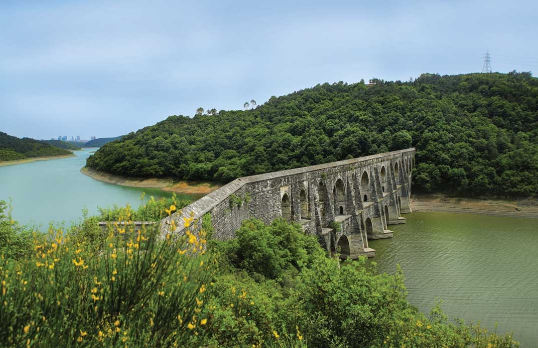 8 MART DÜNYA KADINLAR GÜNÜ KEMERBURGAZ ORMANLARI DOĞA YÜRÜYÜŞÜ (RİNG)