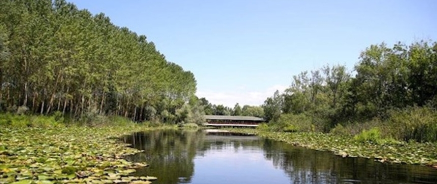 POYRAZLAR GÖLÜ-ACARLAR LONGOZU-MADEN DERESİ DOĞA YÜRÜYÜŞÜ