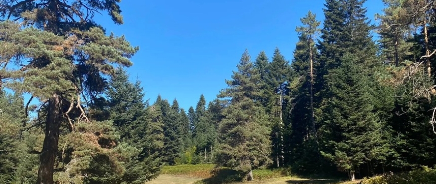 ÇİLEKLİ KÖY VE ÇEVRE YAYLALAR DOĞA YÜRÜYÜŞÜ 