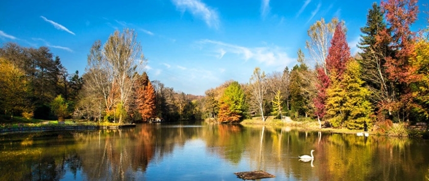 BAHÇEKÖY-ATATÜRK ARBORETUMU-BAHÇEKÖY RİNG DOĞA YÜRÜYÜŞÜ