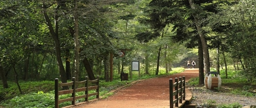 BAHÇEKÖY-BELGRAD ORMANI-BAHÇEKÖY DOĞA YÜRÜYÜŞÜ