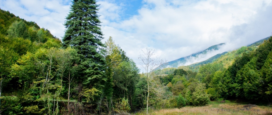 SULTANİYE-KIZLARKALESİ-SERİNDERE SPORTİF DOĞA YÜRÜYÜŞÜ