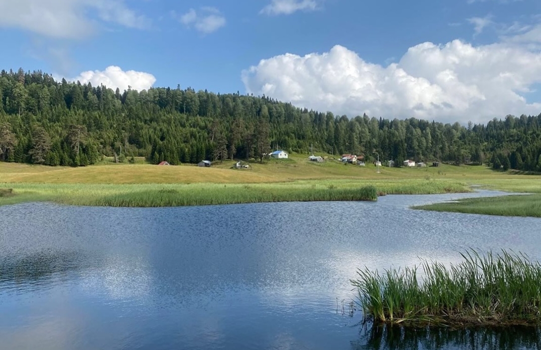 DİKMEN-YENİ YAYLA DOĞA YÜRÜYÜŞÜ