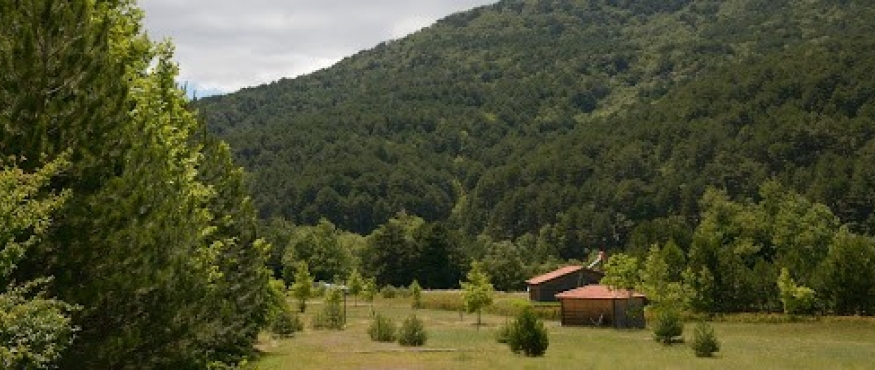 KAZDAĞLARI DARIDERE KAMP VE DOĞA YÜRÜYÜŞLERİ