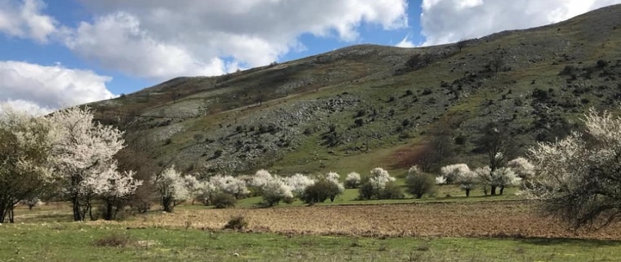 ŞAHİNYURDU-KAPILIÇINAR SPORTİF DOĞA YÜRÜYÜŞÜ