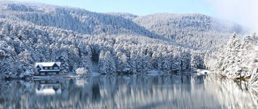 BOLU GÖLCÜK DOĞA YÜRÜYÜŞÜ