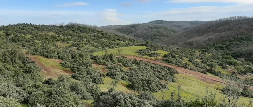 DENİZLİ GÖLETİ-YÖRÜK YAYLASI-ELMALIDERE ŞELALESİ DOĞA YÜRÜYÜŞÜ