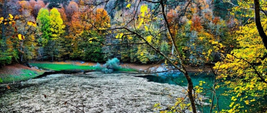 YEDİGÖLLER DOĞA YÜRÜYÜŞÜ 