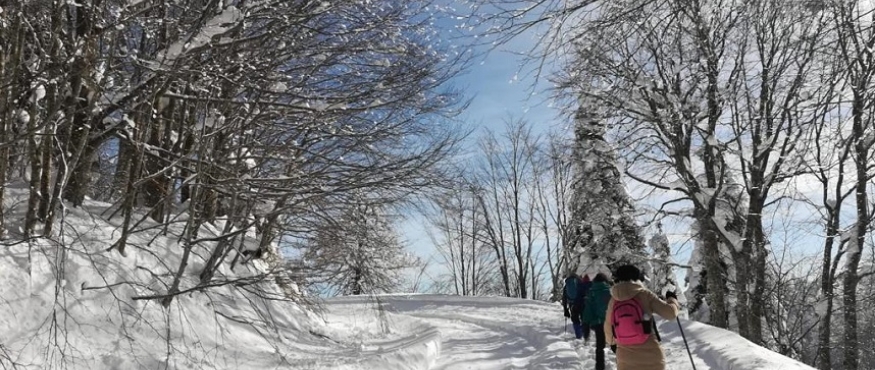KARTEPE - SULTANİYE KAR YÜRÜYÜŞÜ