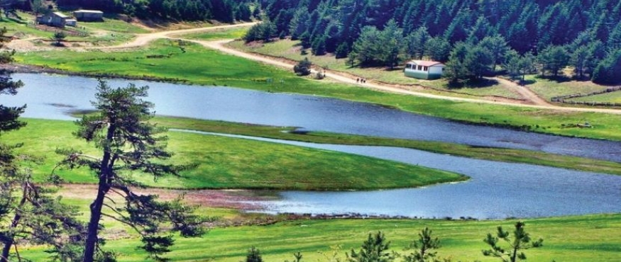 ACELLA YAYLASI KAMP VE DOĞA YÜRÜYÜŞÜ