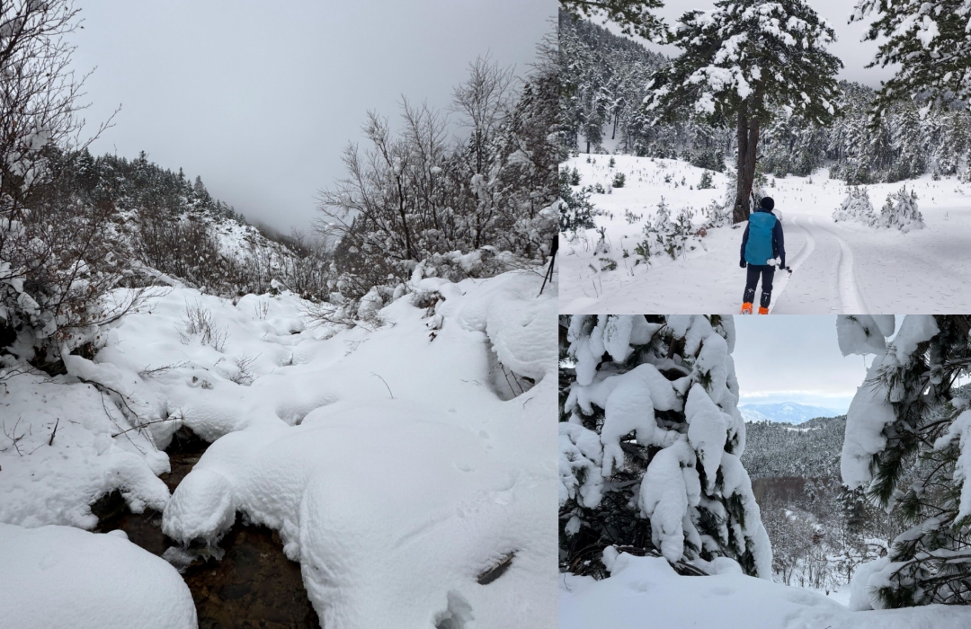 BURSA DAĞDİBİ KÖYÜ KAR YÜRÜYÜŞÜ