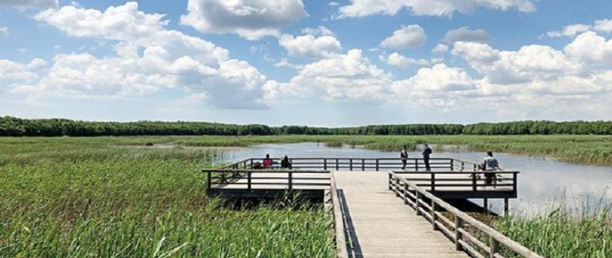 SİNEKLİ KÖYÜ VE GÖLETİ, DANAMANDIRA TABİAT PARKI DOĞA YÜRÜYÜŞÜ