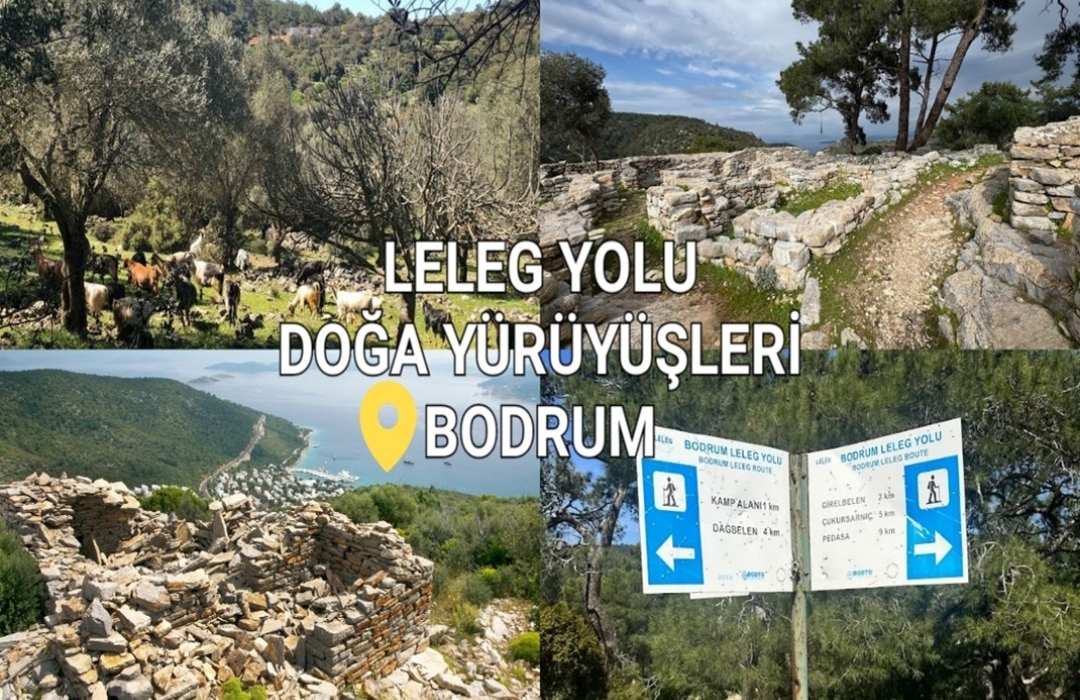 BODRUM LELEG YOLU DOĞA YÜRÜYÜŞLERİ