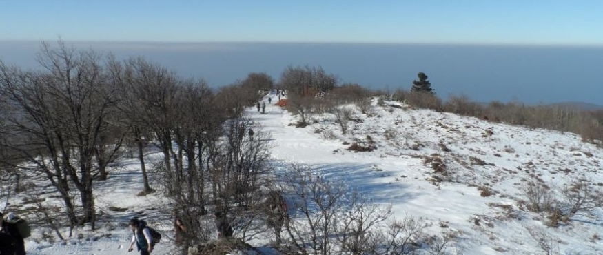 MECİDİYE- TAZ DAĞI- ESENTEPE DOĞA YÜRÜYÜŞÜ