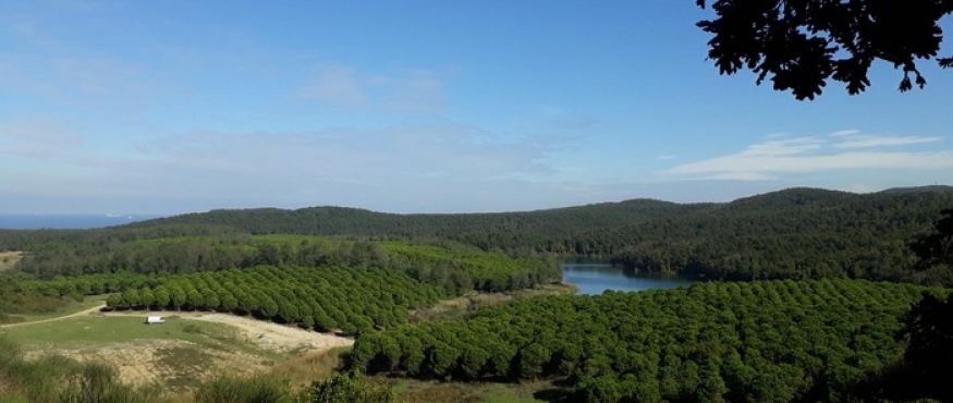 BAHÇEKÖY-KISIRKAYA SPORTİF DOĞA YÜRÜYÜŞÜ