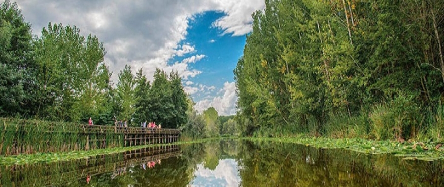 ADAPAZARI-POYRAZLAR GÖLÜ-İHSANİYE KÖYÜ-KERPE DOĞA YÜRÜYÜŞÜ