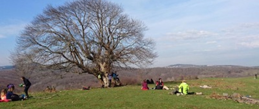 BEYKOZ ORMANLARI ZERZEVATÇI KÖYÜ DOĞA YÜRÜYÜŞÜ