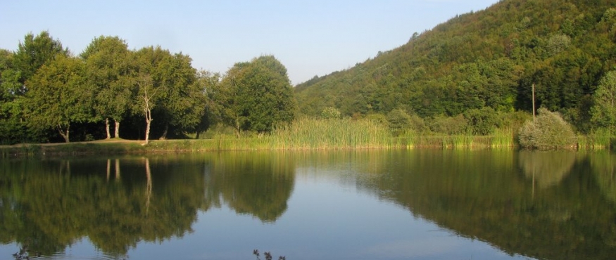 TEKSEN ORMANLARI VE GÖLETİ DOĞA YÜRÜYÜŞÜ